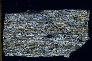 Cross Polarized, S43677