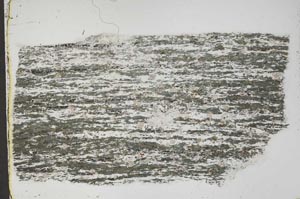 Plane Polarized, S43677