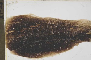Plane Polarized, S43679