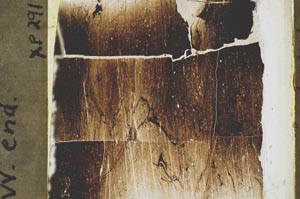 Plane Polarized, S43681