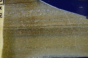 Cross Polarized, S43686