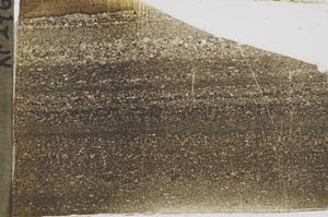 Plane Polarized, S43686