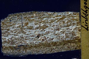 Cross Polarized, S43687