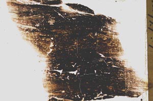 Plane Polarized, S43688
