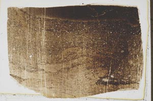 Plane Polarized, S43690