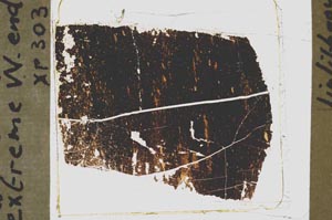 Plane Polarized, S43692