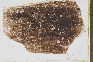Plane Polarized, S43694
