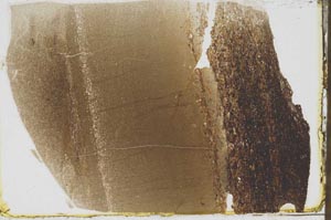 Plane Polarized, S43696