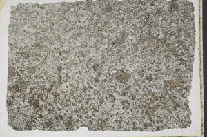 Plane Polarized, S43702