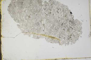 Plane Polarized, S43729