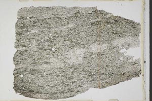 Plane Polarized, S43735
