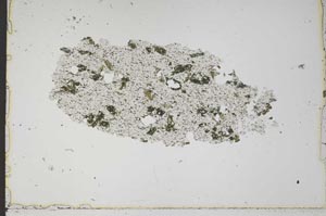 Plane Polarized, S43736