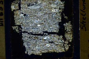 Cross Polarized, S43752