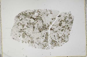 Plane Polarized, S43760