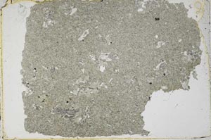 Plane Polarized, S43761