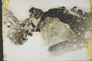 Plane Polarized, S43831