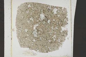 Plane Polarized, S43839