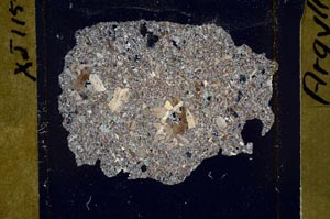 Cross Polarized, S43845