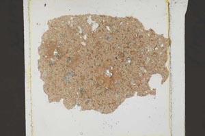 Plane Polarized, S43845