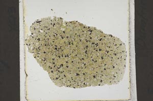 Plane Polarized, S43848