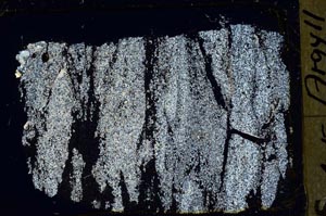 Cross Polarized, S43850