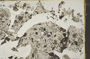 Plane Polarized, S43861