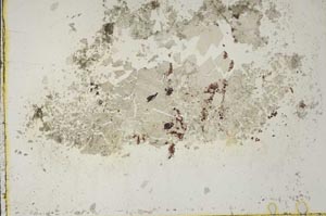 Plane Polarized, S43863