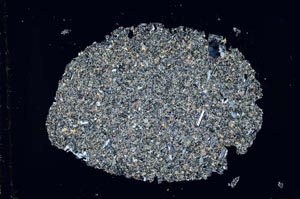 Cross Polarized, S43864