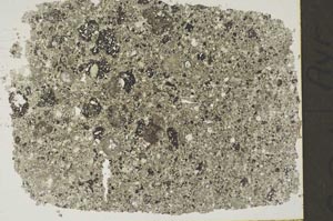 Plane Polarized, S43869