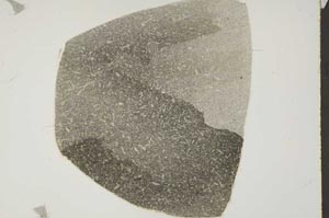 Plane Polarized, S43870