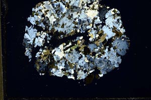 Cross Polarized, S43872