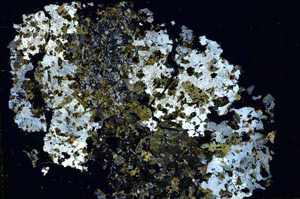 Cross Polarized, S43886