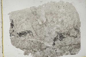 Plane Polarized, S43934