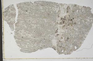 Plane Polarized, S43940