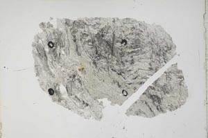 Plane Polarized, S43941