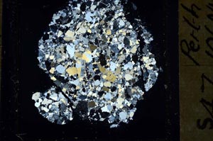 Cross Polarized, S43952