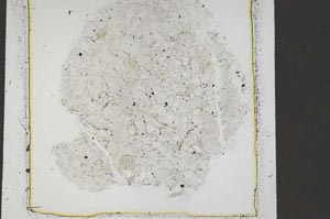 Plane Polarized, S43952