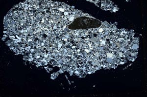 Cross Polarized, S43953