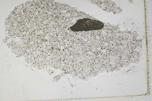 Plane Polarized, S43953