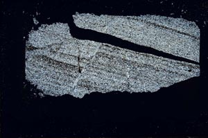 Cross Polarized, S43954