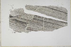 Plane Polarized, S43954