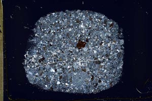 Cross Polarized, S43955