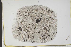 Plane Polarized, S43955