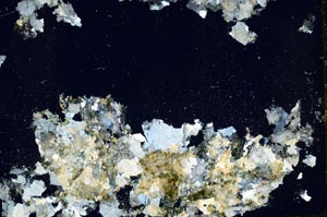 Cross Polarized, S43963