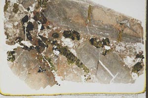 Plane Polarized, S43970