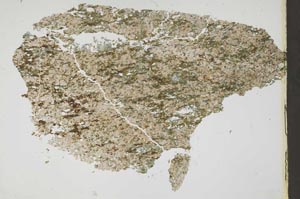 Plane Polarized, S43974