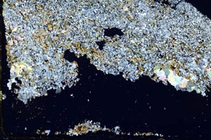 Cross Polarized, S43980