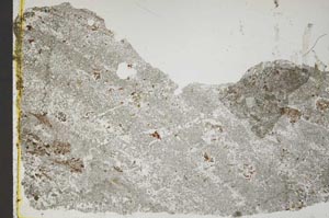 Plane Polarized, S43993