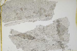Plane Polarized, S43994