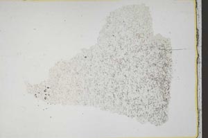 Plane Polarized, S43997